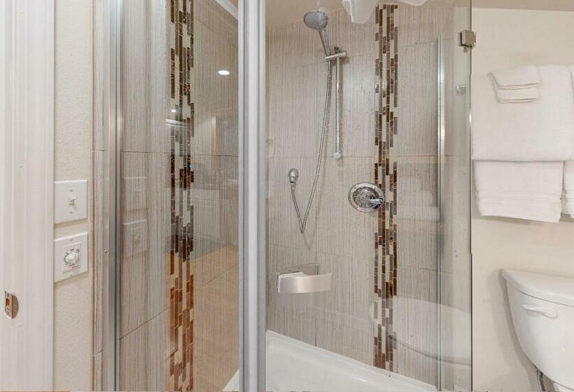 חדר סטודיו סטנדרד, St. Moritz  Apartment