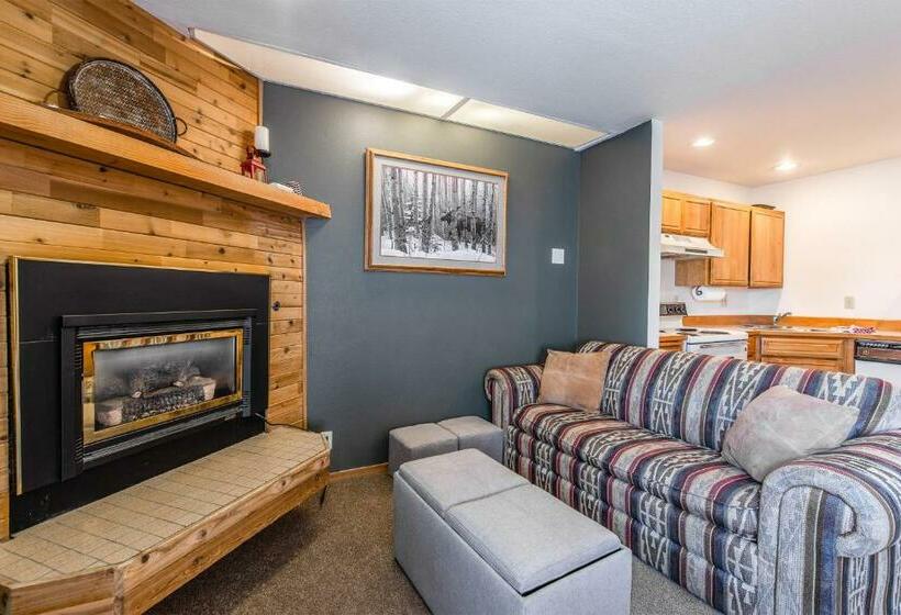 شقة غرفتين, Wildflower C 9 101