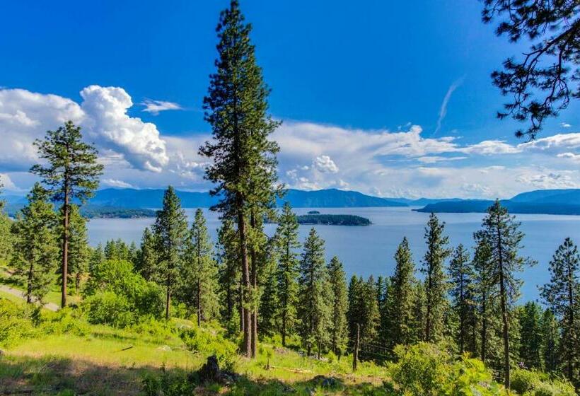 شقة غرفتين, Wildflower C 9 101