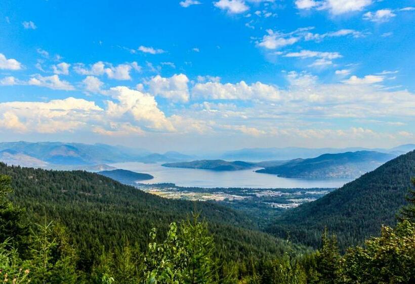 شقة غرفتين, Wildflower C 9 101