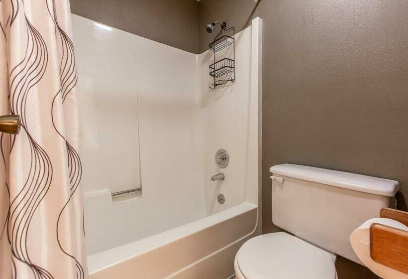 شقة غرفتين, Wildflower C 9 101