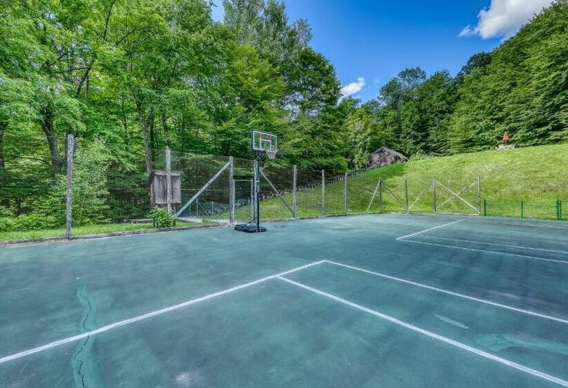 דירת שני חדרים, Battleground 45