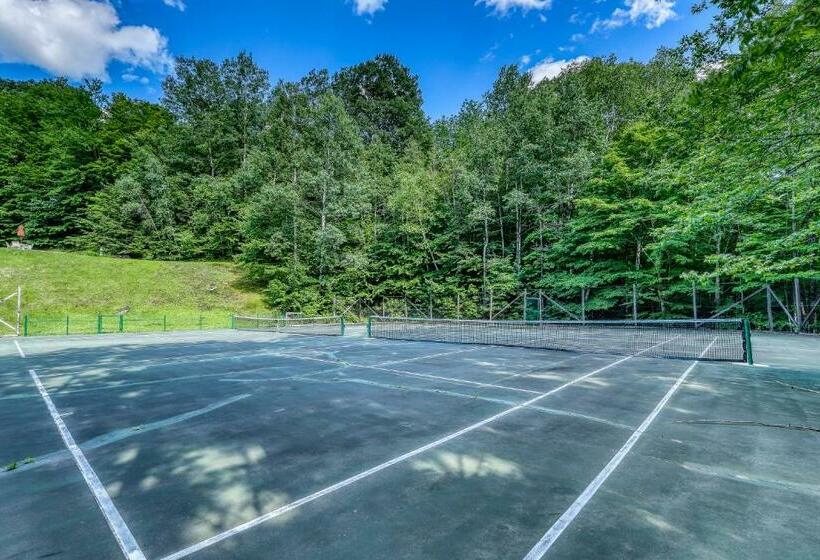 דירת שני חדרים, Battleground 45