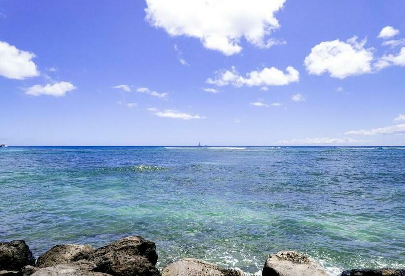 スタンダードスタジオ, Ilikai 883