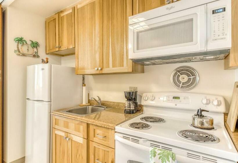 スタンダードスタジオ, Ilikai 883