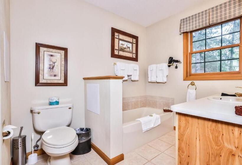 דירת שני חדרים, Chippewa Retreat  Den