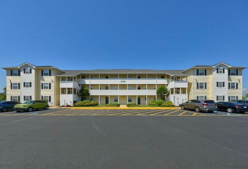 شقة 3 غرف, The Palms   36525 Palm #5201