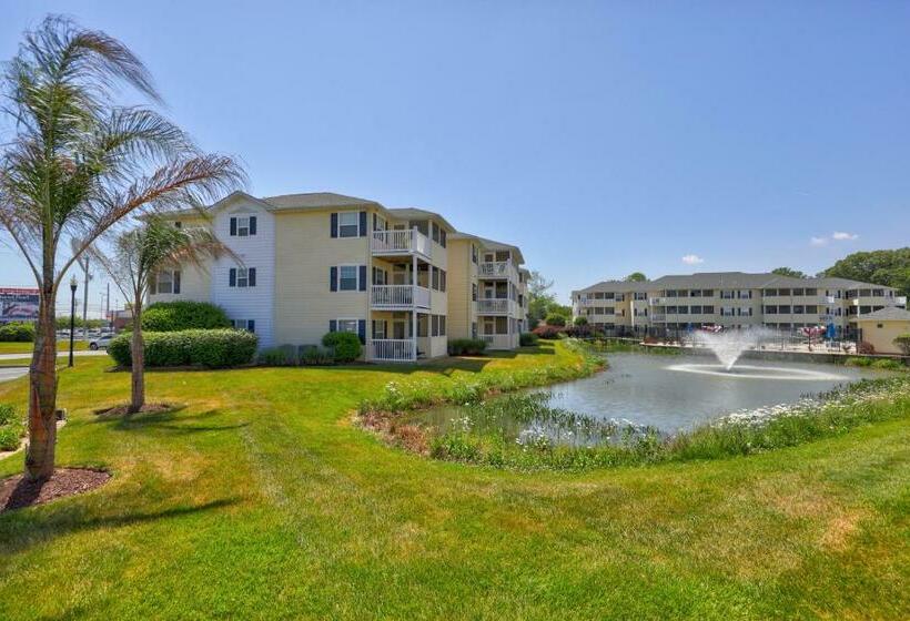 شقة 3 غرف, The Palms   36525 Palm #5201