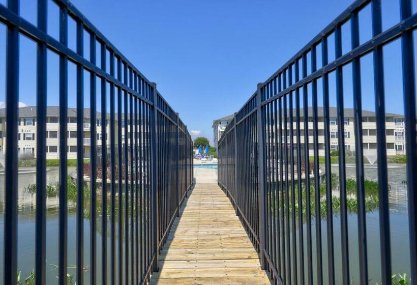 شقة 3 غرف, The Palms   36525 Palm #5201