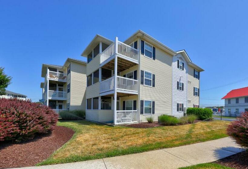 شقة 3 غرف, The Palms   36525 Palm #5201