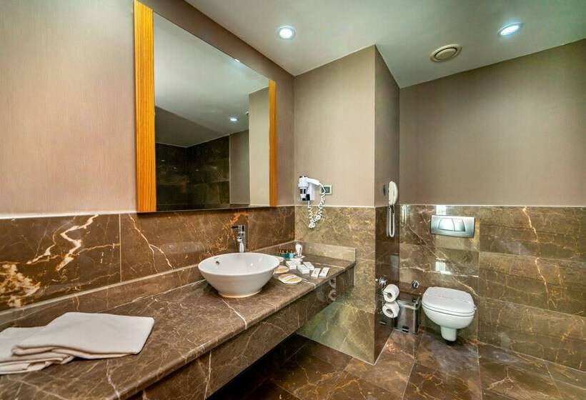 スタンダードシングルルーム, Armas Termal Resort