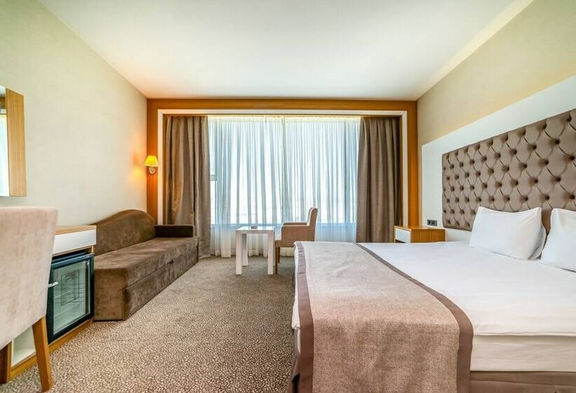 スタンダードルーム, Armas Termal Resort