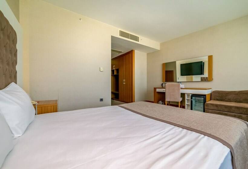 スタンダードルーム, Armas Termal Resort