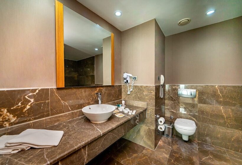 スタンダードルーム, Armas Termal Resort