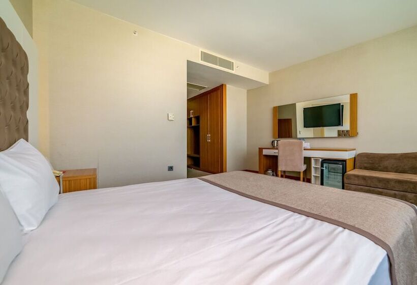 スタンダードルーム, Armas Termal Resort