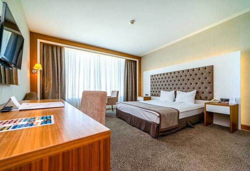 スタンダードルーム, Armas Termal Resort