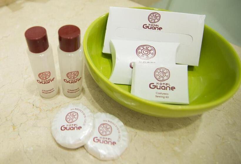 غرفة قياسية فردية, Guane