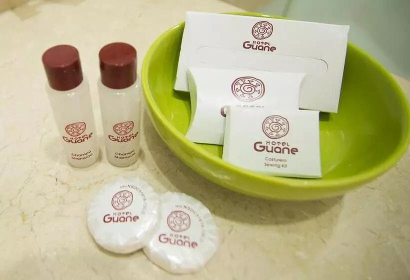 スタンダードシングルルーム, Guane