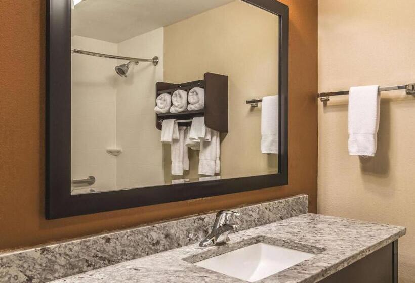 带大床的豪华间, La Quinta By Wyndham Knoxville Central Papermill