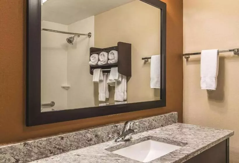 キングサイズベッドのデラックスルーム, La Quinta By Wyndham Knoxville Central Papermill