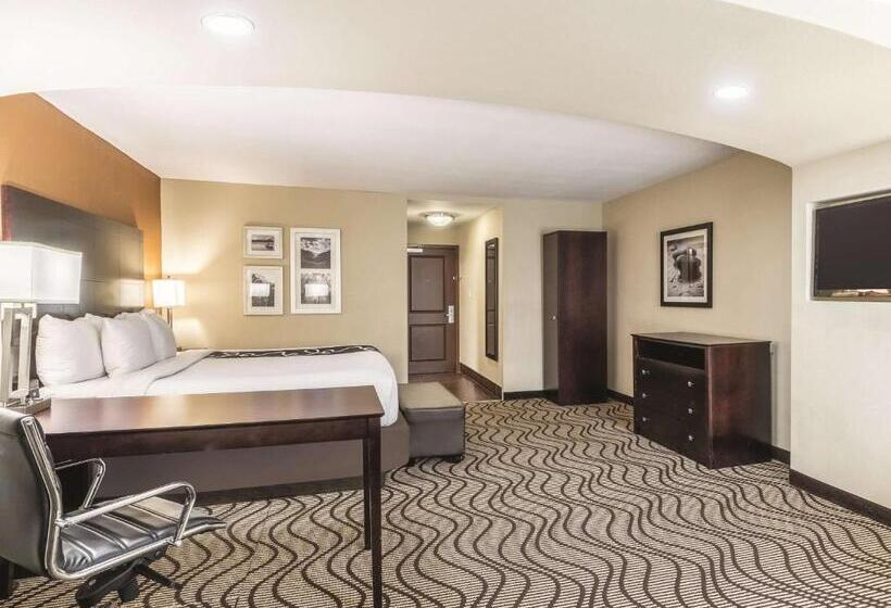带大床的豪华间, La Quinta By Wyndham Knoxville Central Papermill