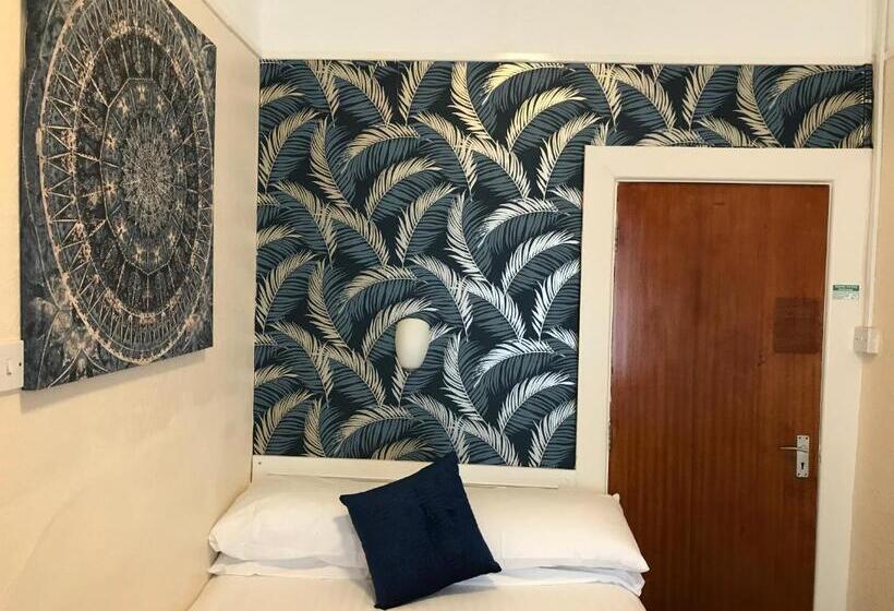 이코노미 룸, The Feathers