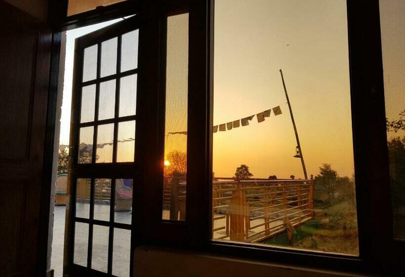 Chambre Standard, Bir Nest Hostel