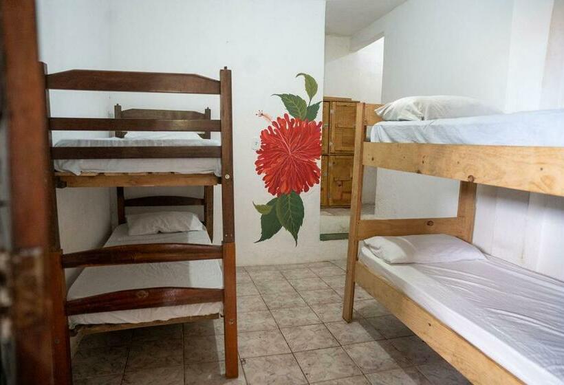 Geteiltes Mehrbettzimmer, Lahselva Pousada Hostel