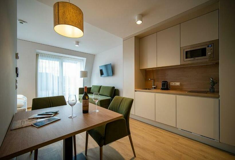 إستديو قياسى مزود بشرفة, Aparthotel Bad Radkersburg