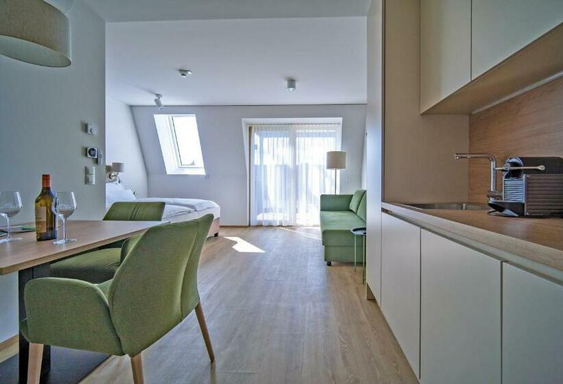إستديو قياسى مزود بشرفة, Aparthotel Bad Radkersburg