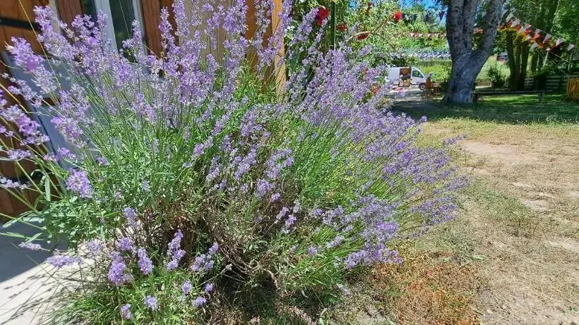 ２ベッドルームアパートメント, Gîte De Montagne Salle De Fête Thorenc