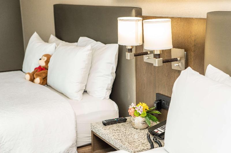 חדר סטנדרט נוף לעיר, Hampton Inn San Francisco Downtown/convention Center