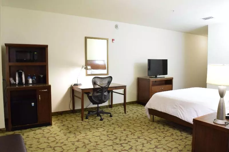 キングサイズベッドのスタンダードルーム, Hilton Garden Inn Rochester Downtown, Ny