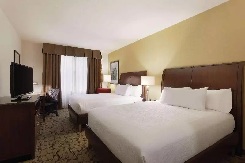プレミアムルーム, Hilton Garden Inn Rochester Downtown, Ny
