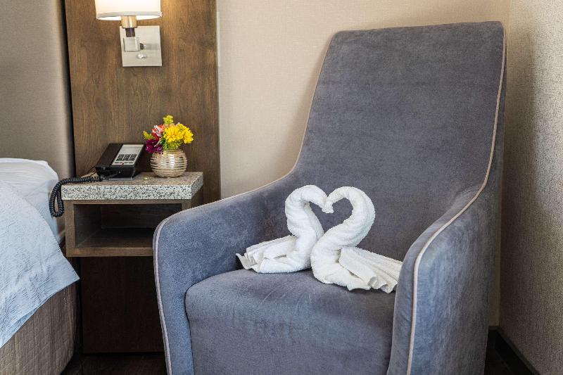 Стандартный Номер Кровать Кинг, Hilton Garden Inn Rochester Downtown, Ny