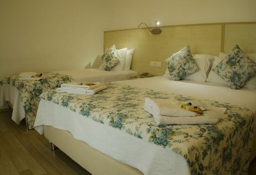 חדר סטנדרט לשלושה, Seril 2