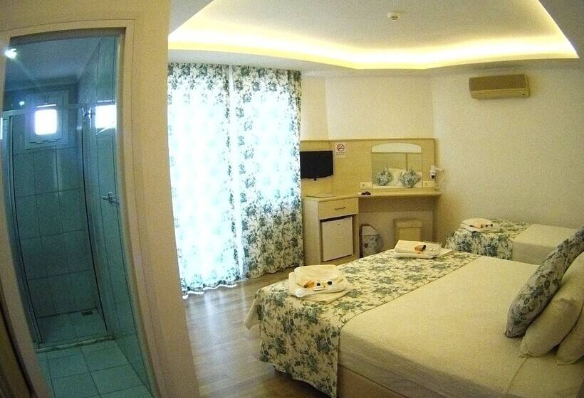 חדר סטנדרט לשלושה, Seril 2