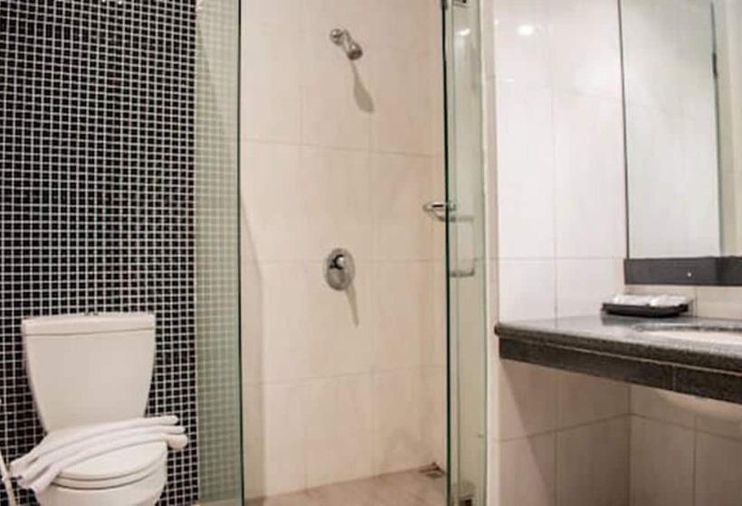 Номер Superior, Luminor Hotel Jember By Wh