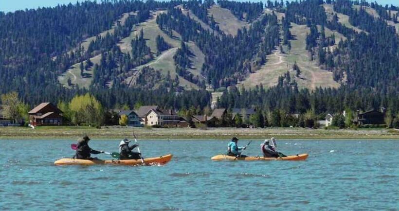 غرفة قياسية, Private Festive Room With Desk In The Country