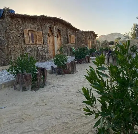 اتاق لوکس, Tijan Siwa