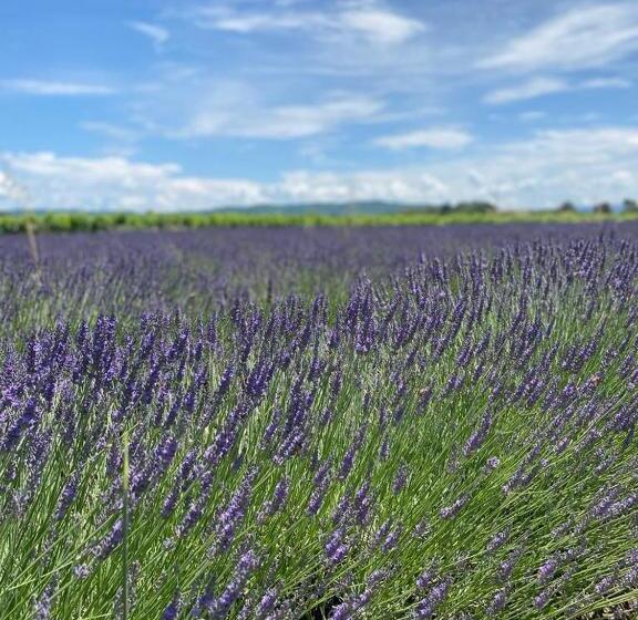 スタンダードルーム, Gite Belle Vue