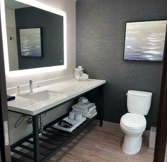 身障者適用キングサイズベッドルーム, Cambria Hotel Minneapolis Downtown