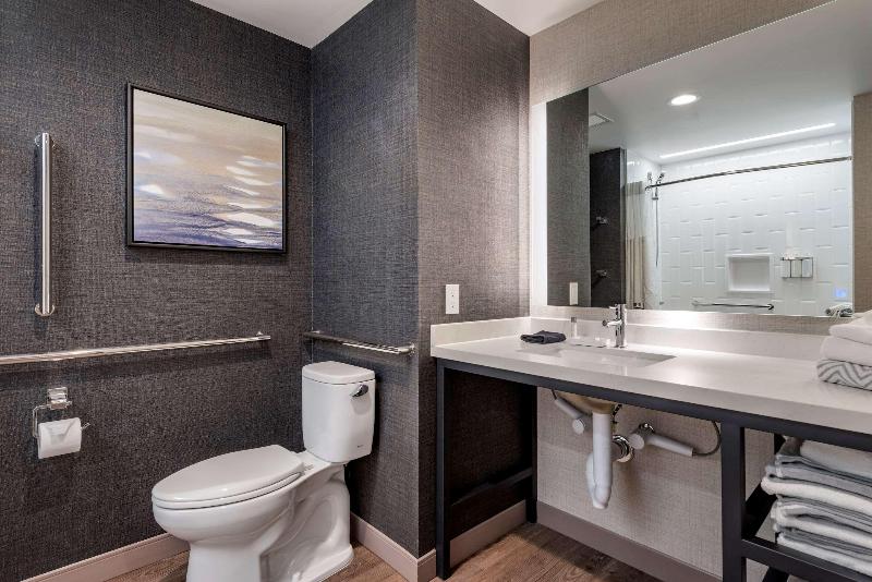 身障者適用キングサイズベッドルーム, Cambria Hotel Minneapolis Downtown