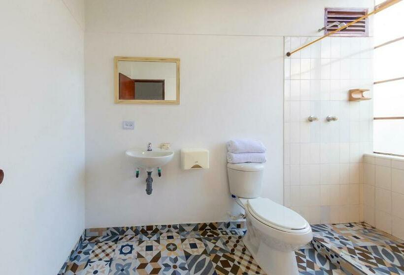 اتاق خانوادگی, Ayenda Macondo