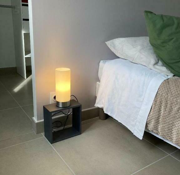 غرفة قياسية, Chambre, Salle De Bain, Toilette, Salon Privatif