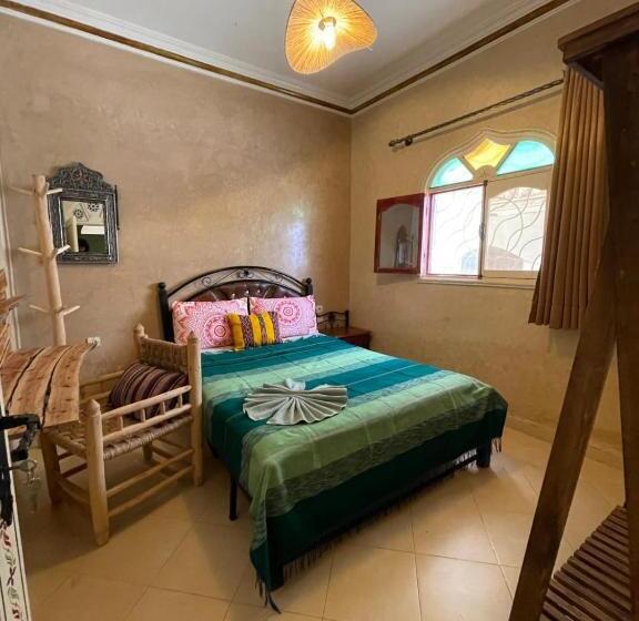 اتاق اکونومی, Surf & Salsa Guesthouse