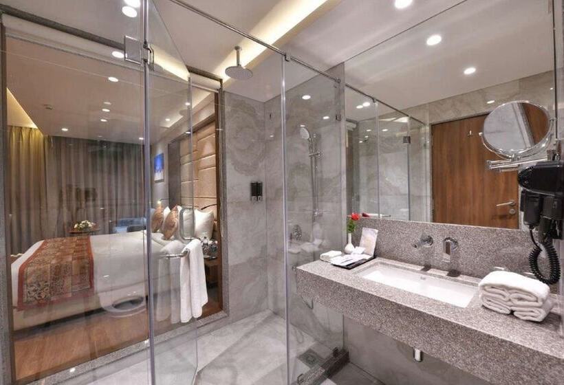 غرفة تنفيذية, Regenta Fairlark Vadodara