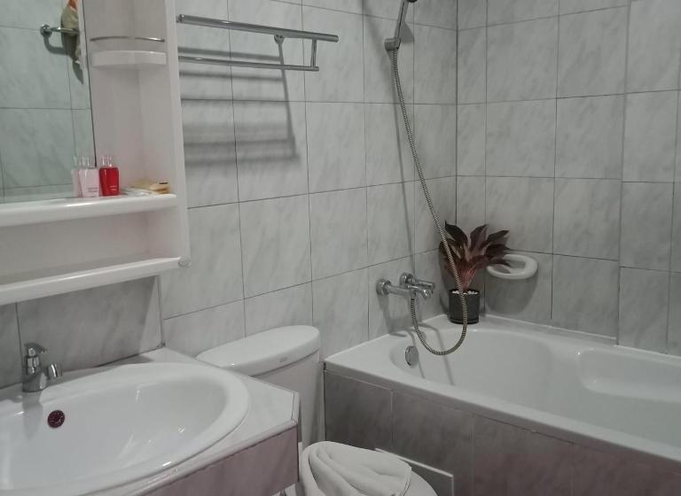 Номер Стандарт, New Forest Patong