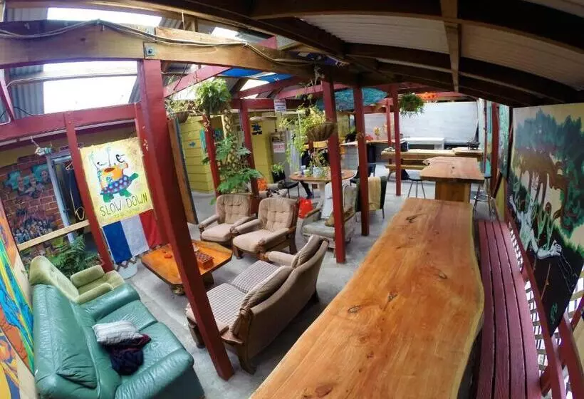 اتاق خانوادگی, Bazil S Backpackers Bbh Hostel & Surf School