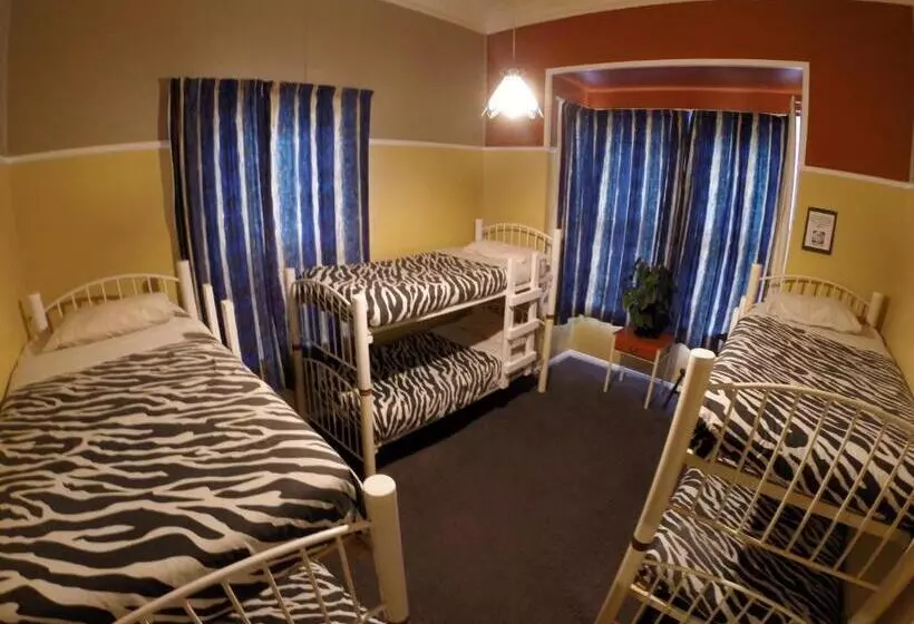تختخواب در اتاق مشترک, Bazil S Backpackers Bbh Hostel & Surf School